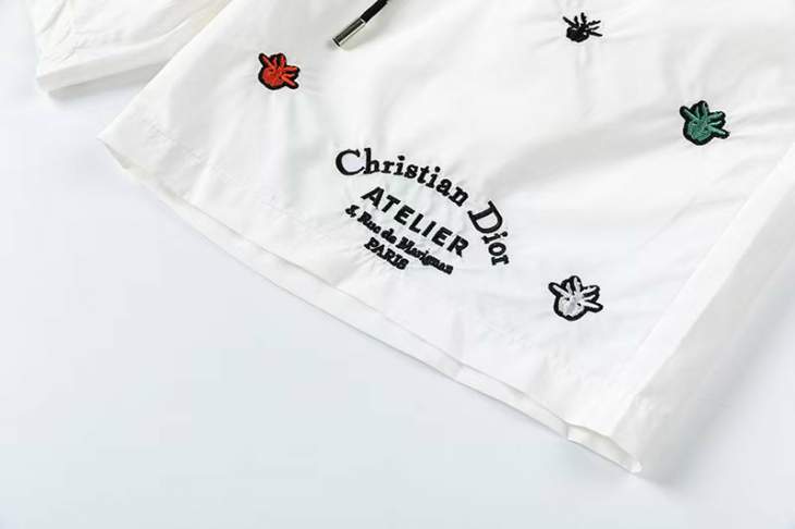Dior Short Pants _SKUDiorS-2XLzztr3417168